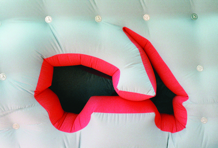 Flexible house