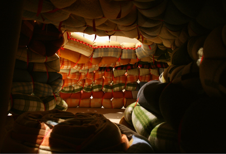 Cozy Shelter